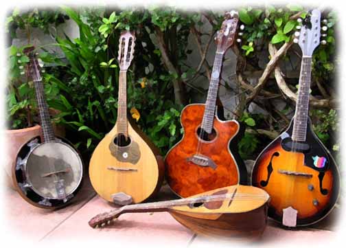steve's mandolins 2005